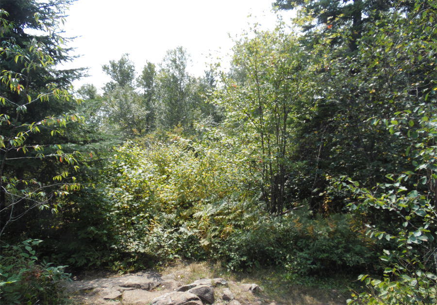 View from Summit of Eagle Mountain